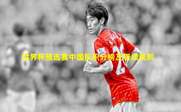 世界杯预选赛中国队积分榜及晋级规则