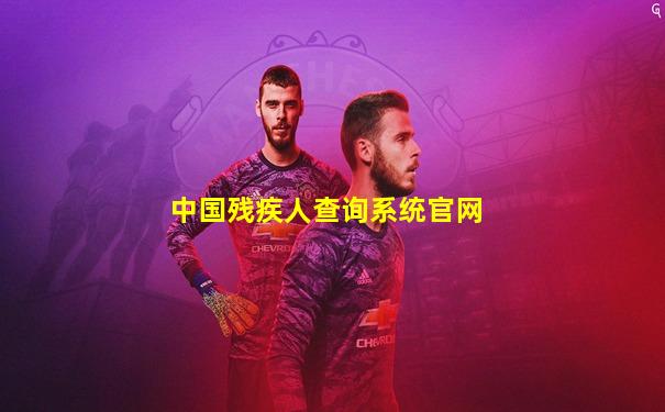 中国残疾人查询系统官网
