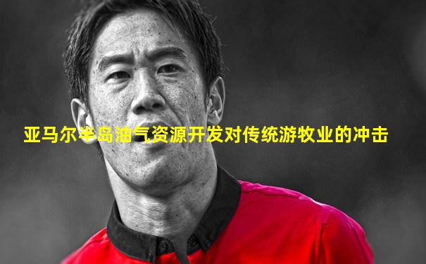 亚马尔半岛油气资源开发对传统游牧业的冲击