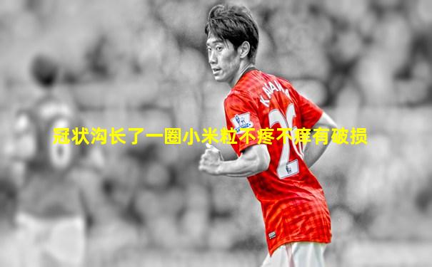 冠状沟长了一圈小米粒不疼不痒有破损