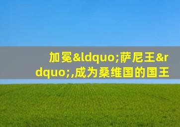 加冕“萨尼王”,成为桑维国的国王