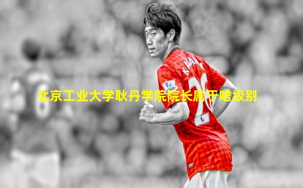 北京工业大学耿丹学院院长属于啥级别