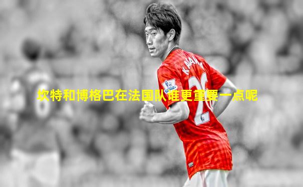 坎特和博格巴在法国队谁更重要一点呢