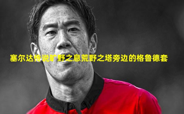 塞尔达传说旷野之息荒野之塔旁边的格鲁德套