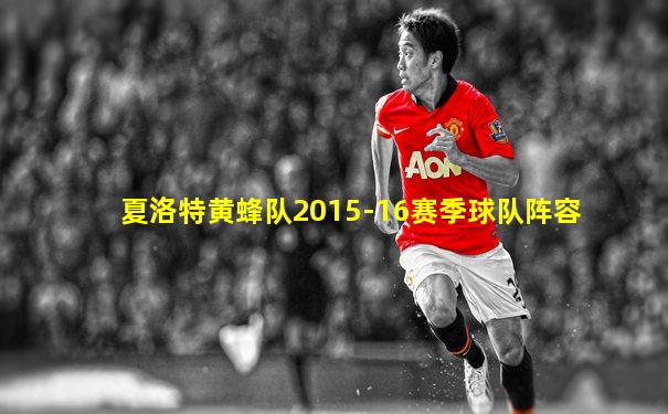 夏洛特黄蜂队2015-16赛季球队阵容