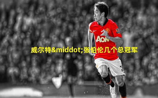 威尔特·张伯伦几个总冠军