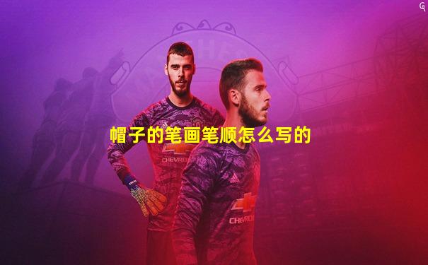 帽子的笔画笔顺怎么写的