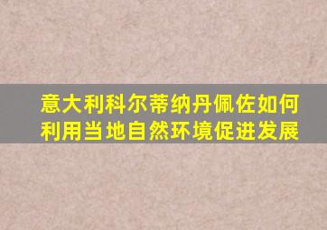意大利科尔蒂纳丹佩佐如何利用当地自然环境促进发展