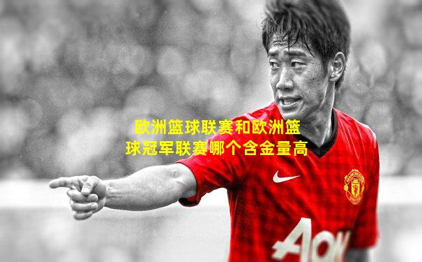 欧洲篮球联赛和欧洲篮球冠军联赛哪个含金量高