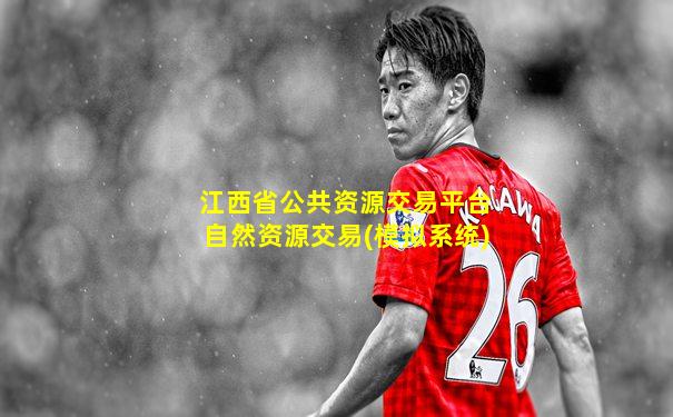江西省公共资源交易平台自然资源交易(模拟系统)