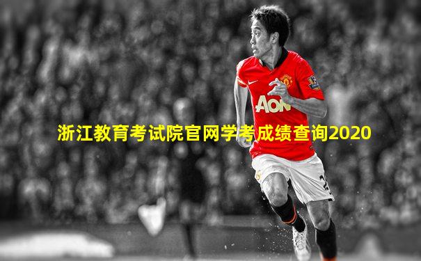 浙江教育考试院官网学考成绩查询2020