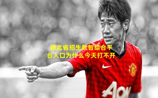 湖北省招生数智综合平台入口为什么今天打不开