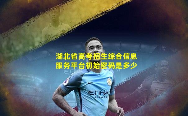 湖北省高考招生综合信息服务平台初始密码是多少