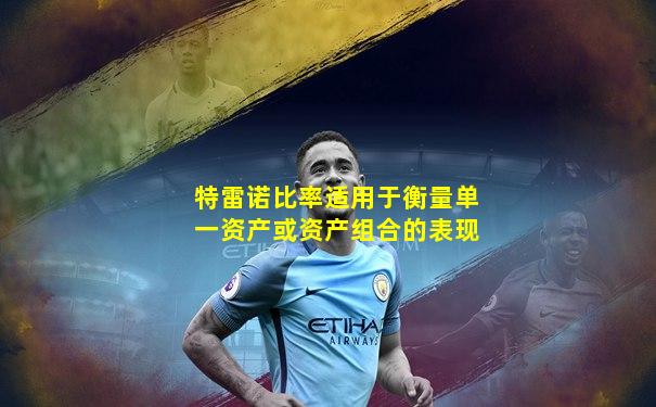特雷诺比率适用于衡量单一资产或资产组合的表现
