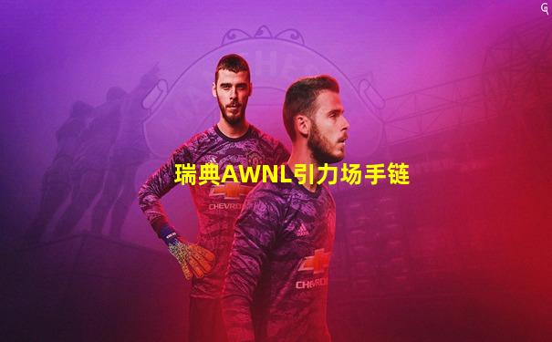 瑞典AWNL引力场手链