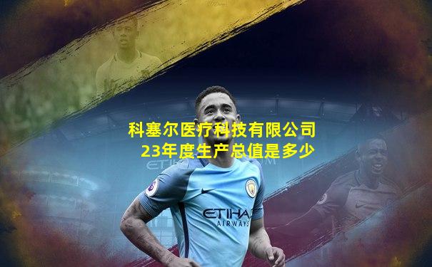科塞尔医疗科技有限公司23年度生产总值是多少