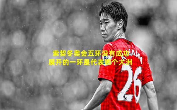 索契冬奥会五环没有成功展开的一环是代表哪个大洲