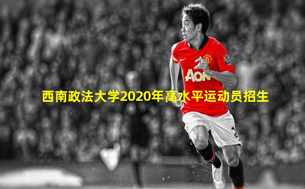 西南政法大学2020年高水平运动员招生
