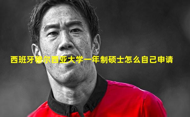 西班牙穆尔西亚大学一年制硕士怎么自己申请