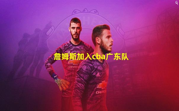 詹姆斯加入cba广东队