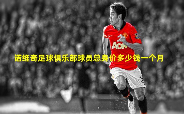 诺维奇足球俱乐部球员总身价多少钱一个月