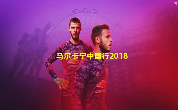 马尔卡宁中国行2018