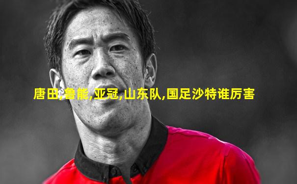 唐田,鲁能,亚冠,山东队,国足沙特谁厉害