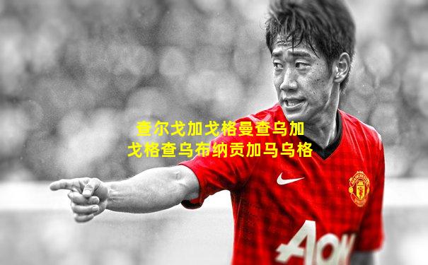 查尔戈加戈格曼查乌加戈格查乌布纳贡加马乌格
